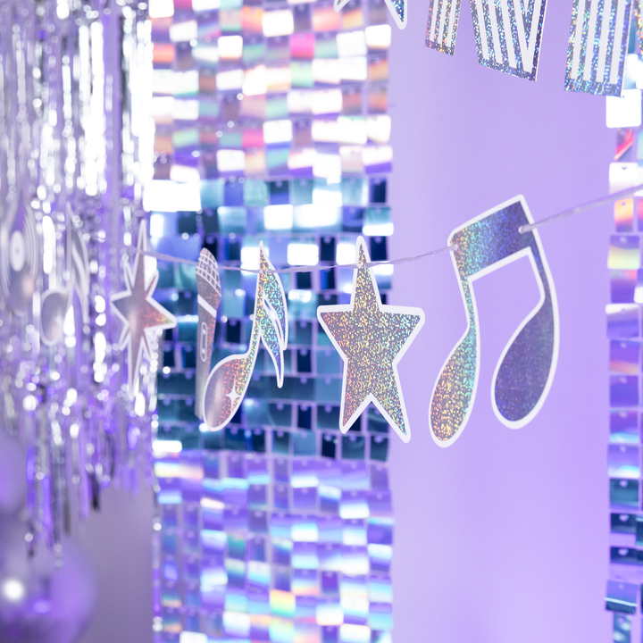 Girlanda Silver Disco 110cm