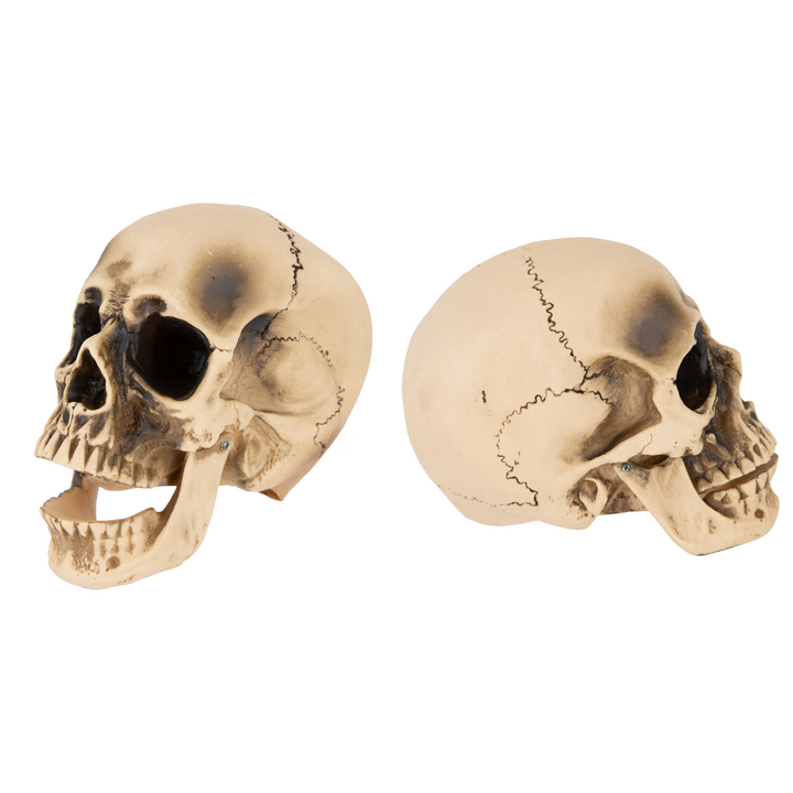 Halloween dekoracja Czaszka z ruchomą szczęką