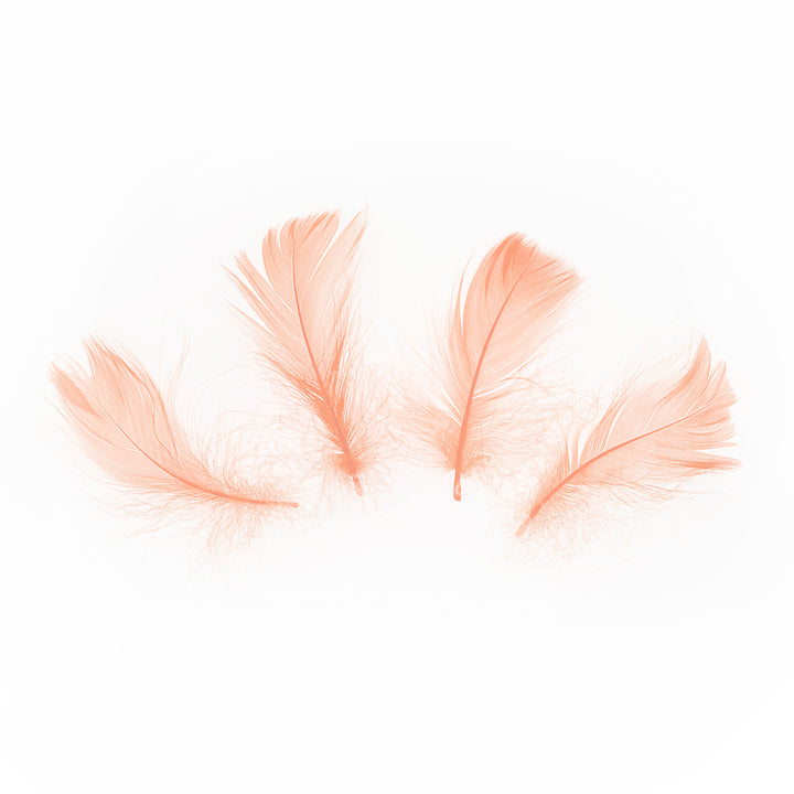 Konfetti piórka krótkie 50 szt. - brzoskwiniowe