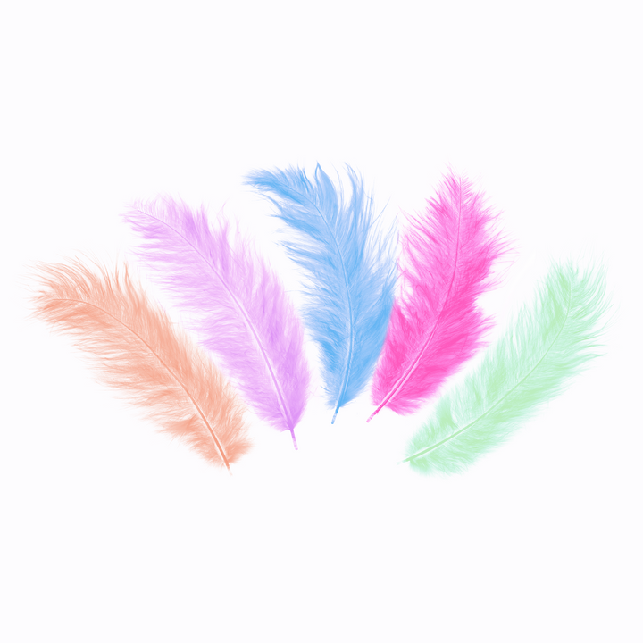 Konfetti piórka długie 50 szt. - kolor mix