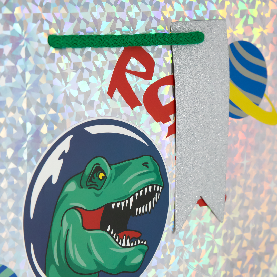 Torebki na prezenty Dinozaury duże 12 szt. mix