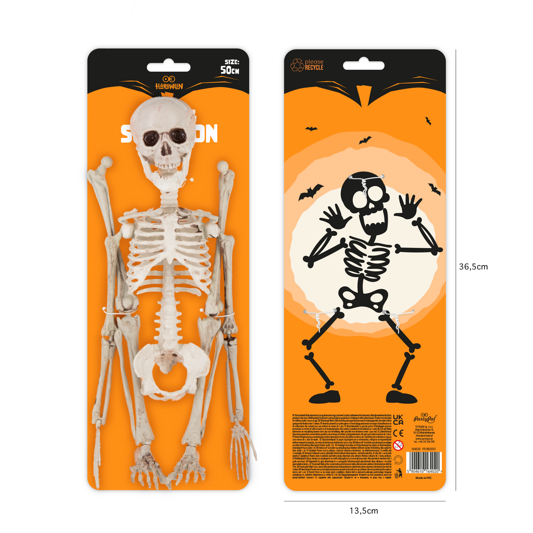Wiszący szkielet Halloween 50 cm
