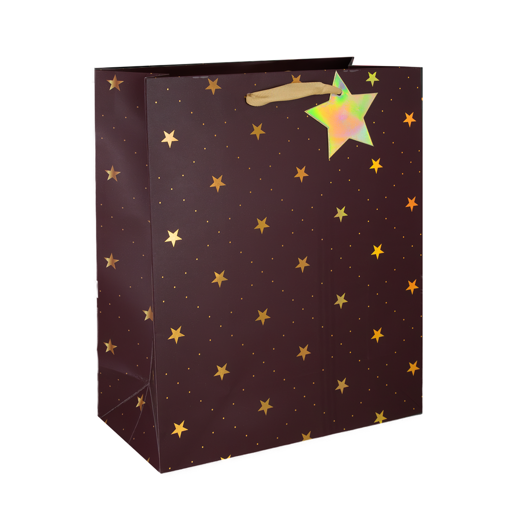 Torebki na prezenty gwiazdki średnie 12szt.