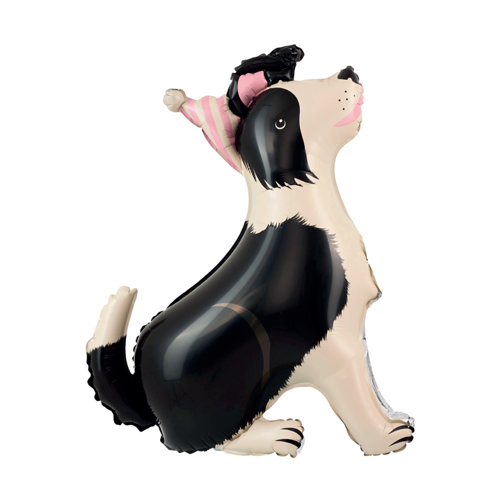 Balon foliowy stojący Pies Border Collie z czapeczką 76x92 cm