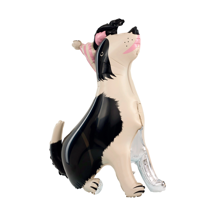 Balon foliowy stojący Pies Border Collie z czapeczką 76x92 cm