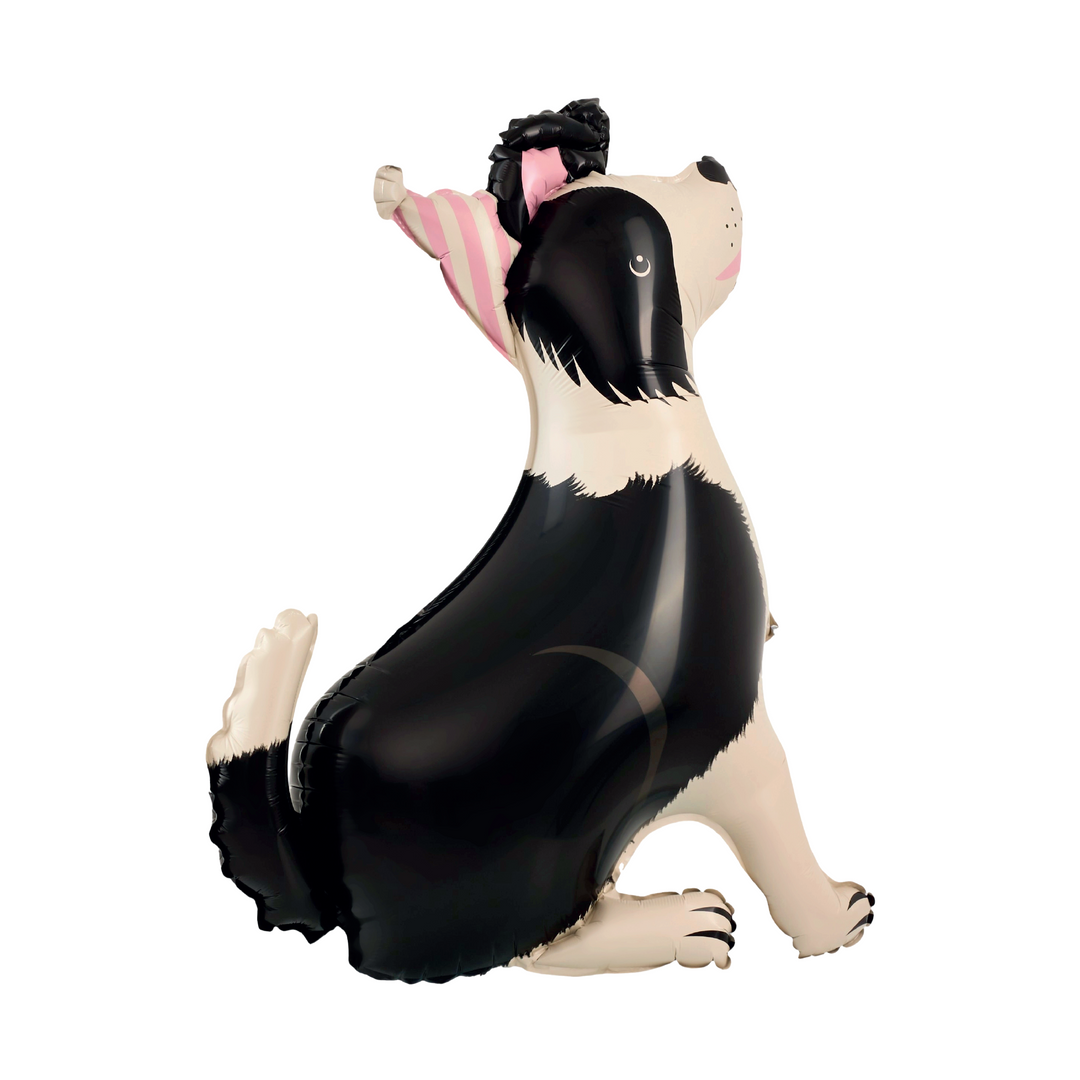 Balon foliowy stojący Pies Border Collie z czapeczką 76x92 cm