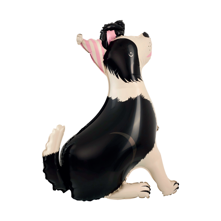 Balon foliowy stojący Pies Border Collie z czapeczką 76x92 cm