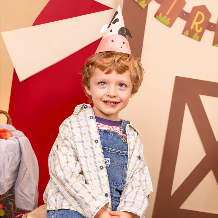 Czapeczki urodzinowe Farma 6 szt. zestaw