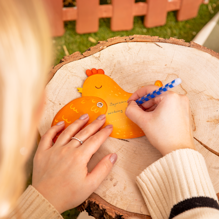 Zaproszenie na imprezę Farma 6 szt. zestaw