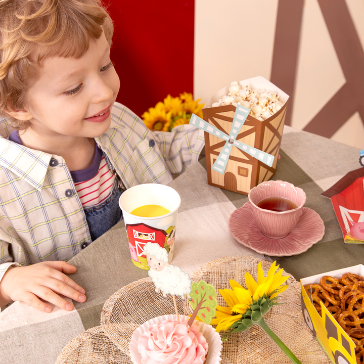 Pudełko na popcorn Farma 6szt.