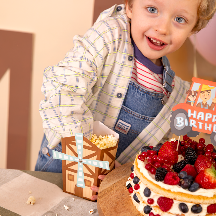 Pudełko na popcorn Farma 6szt.