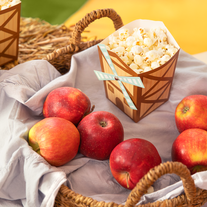 Pudełko na popcorn Farma 6szt.