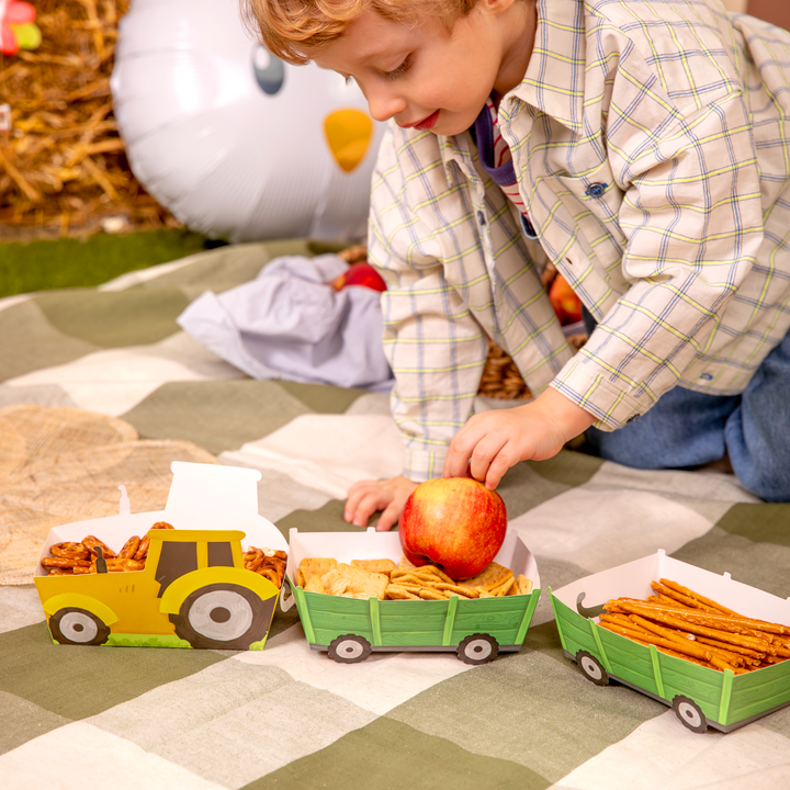 Pudełko na chipsy Farma 3 szt.