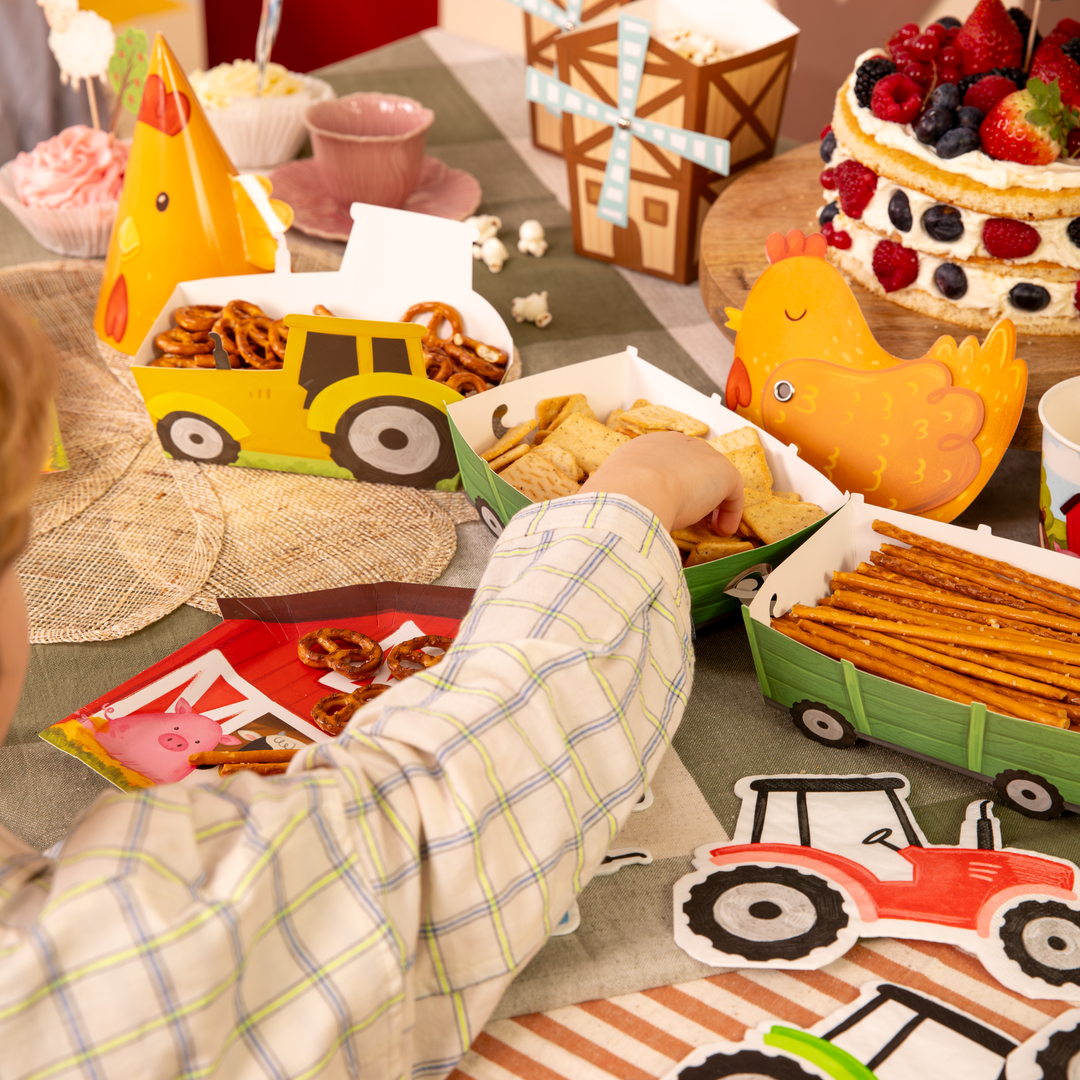 Pudełko na chipsy Farma 3 szt.