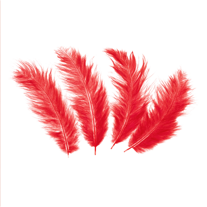 Confeti de plumas largas, 50 unidades - rojo