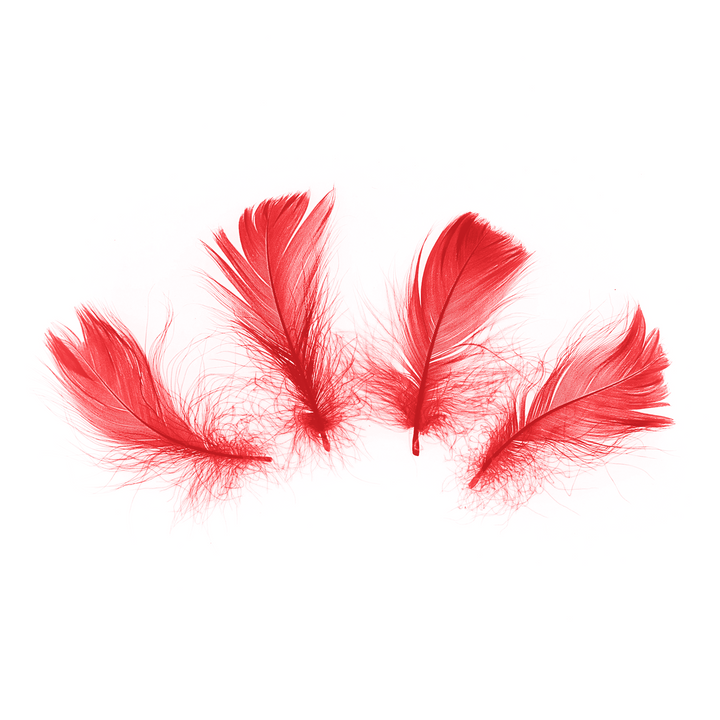 Confettis en forme de petites plumes, 50 pièces - rouges
